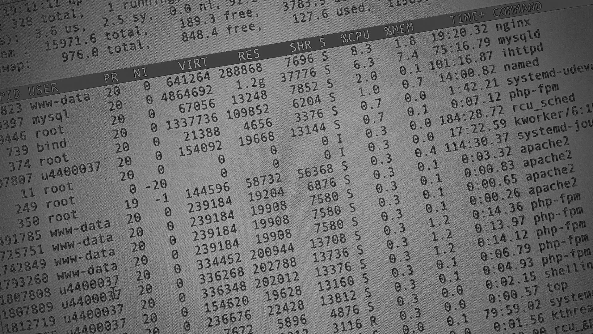 Настройка сервера в Курганинске