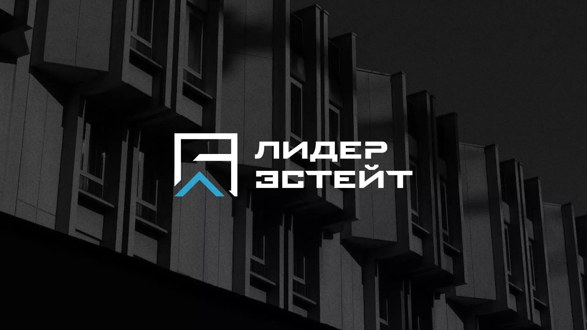 Разработка логотипа агентства недвижимости «Лидер Эстейт» в Курганинске